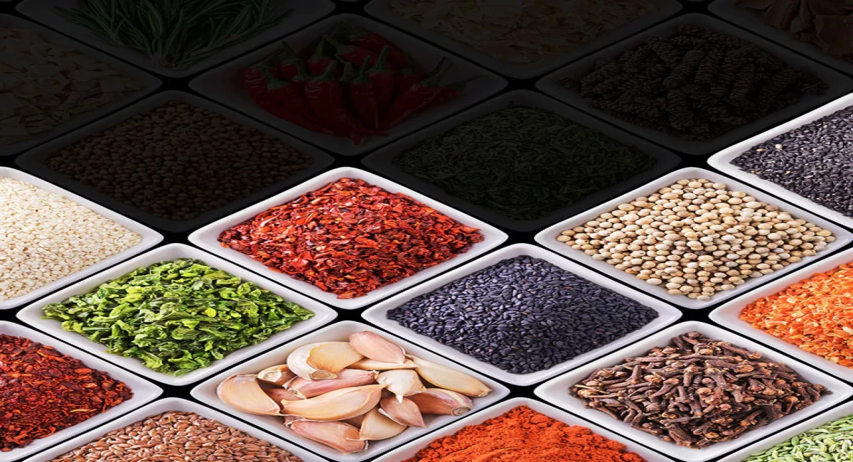 Pudina (Mint) Chutney Dip